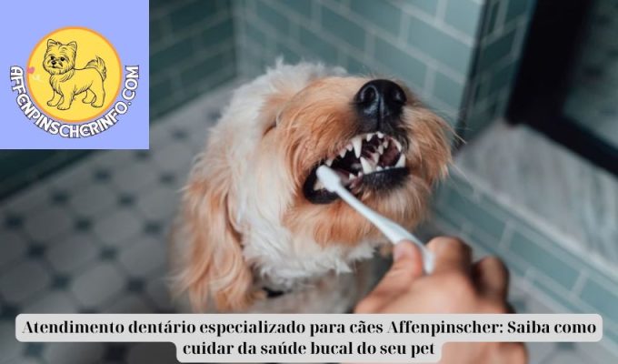 Atendimento dentário especializado para cães Affenpinscher: Saiba como cuidar da saúde bucal do seu pet