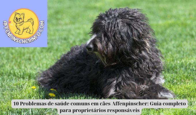 10 Problemas de saúde comuns em cães Affenpinscher: Guia completo para proprietários responsáveis