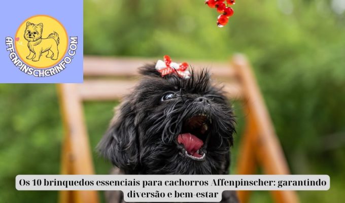 Os 10 brinquedos essenciais para cachorros Affenpinscher: garantindo diversão e bem-estar