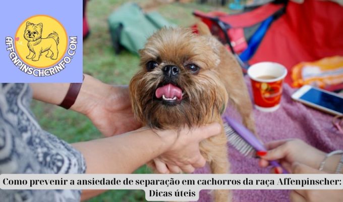 Como prevenir a ansiedade de separação em cachorros da raça Affenpinscher: Dicas úteis