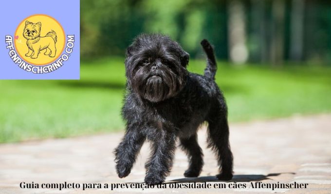 Guia completo para a prevenção da obesidade em cães Affenpinscher