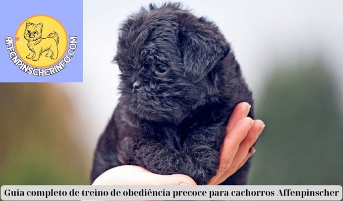 Guia completo de treino de obediência precoce para cachorros Affenpinscher