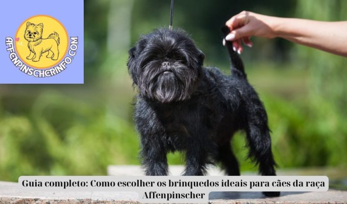 Guia completo: Como escolher os brinquedos ideais para cães da raça Affenpinscher