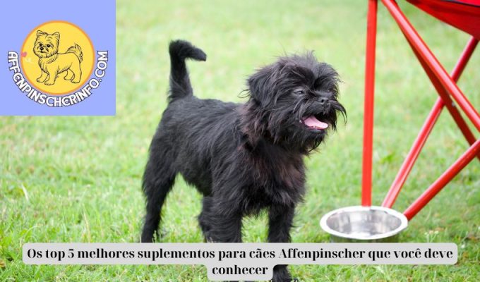 Os top 5 melhores suplementos para cães Affenpinscher que você deve conhecer