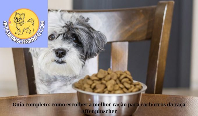 Guia completo: como escolher a melhor ração para cachorros da raça Affenpinscher