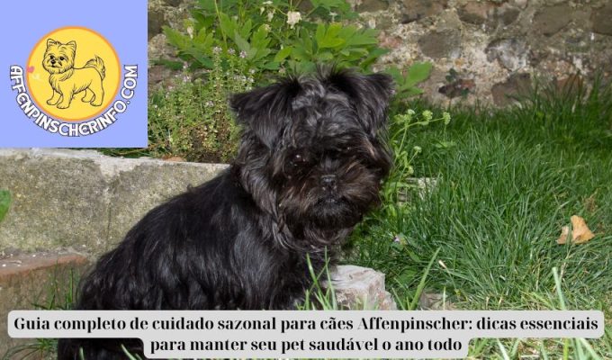 Guia completo de cuidado sazonal para cães Affenpinscher: dicas essenciais para manter seu pet saudável o ano todo