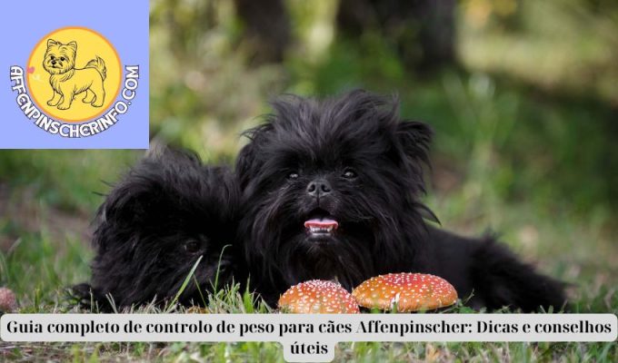 Guia completo de controlo de peso para cães Affenpinscher: Dicas e conselhos úteis