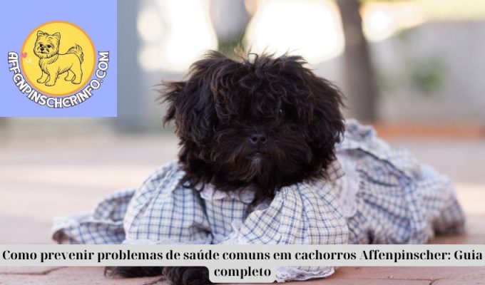 Como prevenir problemas de saúde comuns em cachorros Affenpinscher: Guia completo