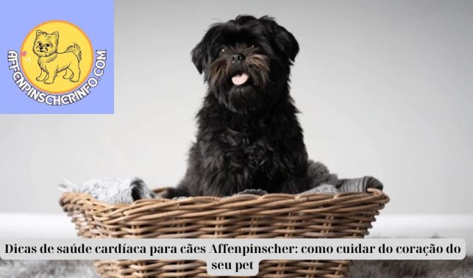 Dicas de saúde cardíaca para cães Affenpinscher: como cuidar do coração do seu pet