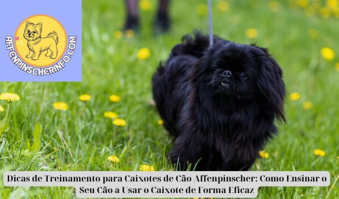 Dicas de Treinamento para Caixotes de Cão Affenpinscher: Como Ensinar o Seu Cão a Usar o Caixote de Forma Eficaz