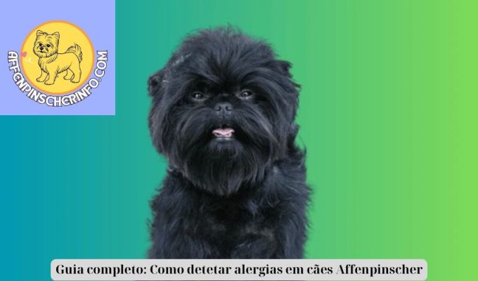 Guia completo: Como detetar alergias em cães Affenpinscher