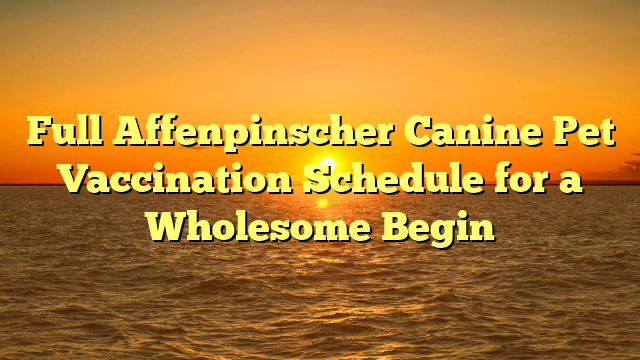 Full Affenpinscher Canine Pet Vaccination Schedule for a Wholesome Begin