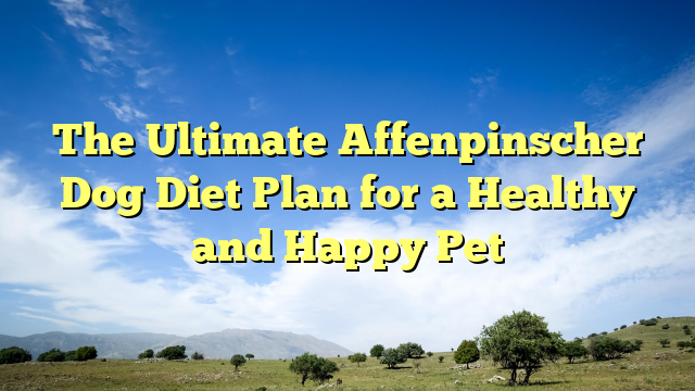 The Final Affenpinscher Canine Food regimen Plan for a Wholesome and Joyful Pet