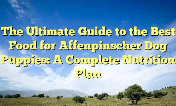 The Final Information to the Greatest Meals for Affenpinscher Canine Puppies: A Full Vitamin Plan
