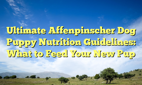Ultimate Affenpinscher Dog Puppy Nutrition Guidelines: What to Feed Your New Pup