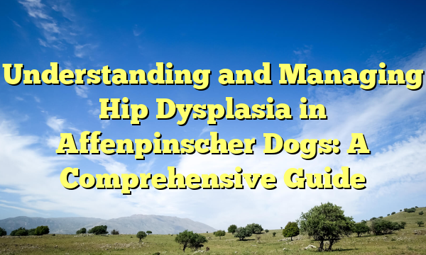 Understanding and Managing Hip Dysplasia in Affenpinscher Canines: A Complete Information